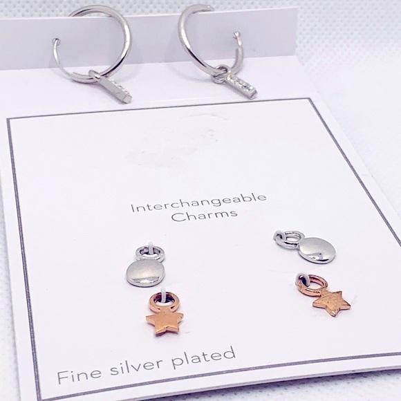 Gold and Silver Interchangeable Earrings Set with Charms - Picture 1 of 8